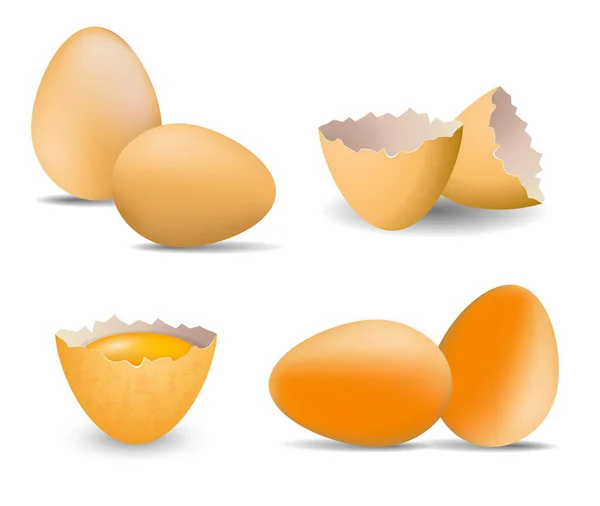 Set Realistic Chicken Egg Farm Broken Cracked Egg Eggshell Hard — ストックベクタ