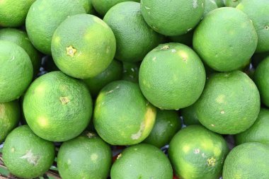 Tatlı Portakal meyvelerinin genel görünümü (Citrus sinensis)