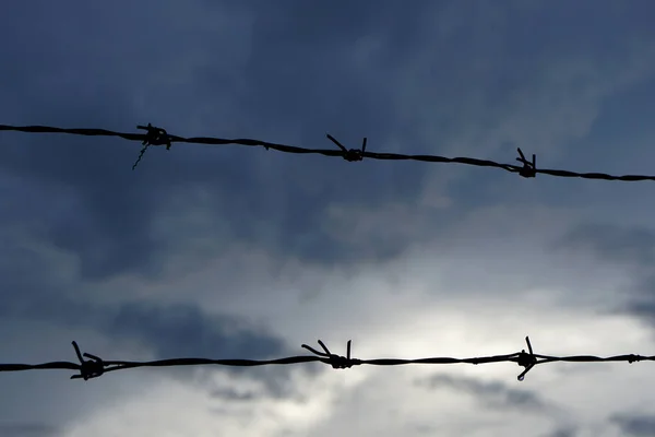 Barbed Wire Black Sky Background — Zdjęcie stockowe