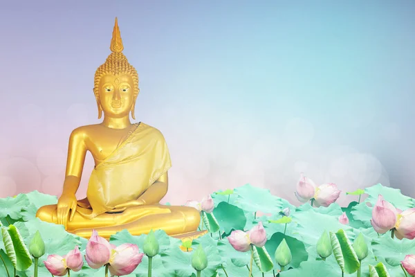 Boeddhabeeld Achtergrond Wazig Bloemen Hemel Met Het Licht Van Zon — Stockfoto