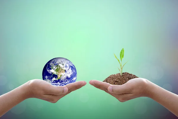 Mano Humana Sosteniendo Árbol Mundo Fondo Borroso Naturaleza Día Mundial — Foto de Stock