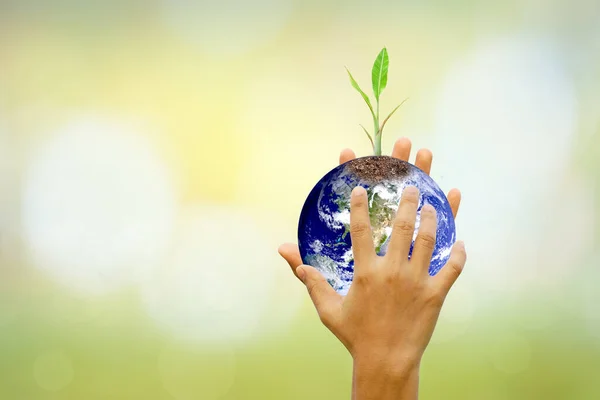 Human Hand Holding Tree World Blurred Nature Background World Environment — Fotografia de Stock