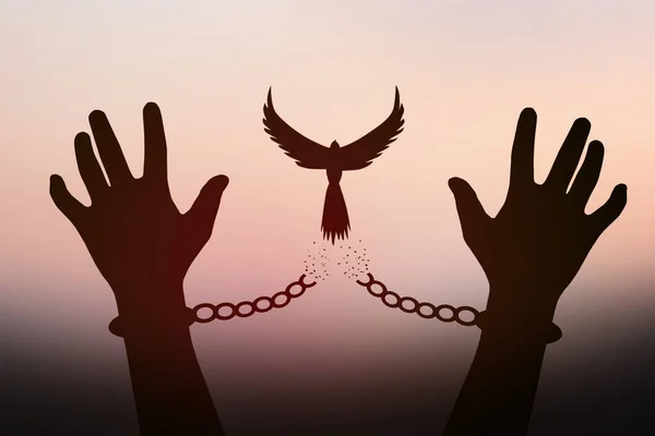 Özgürlük Kavramı Bir Güvercinin Gölgesi Insan Kollarını Bağlayan Zincirlerden Kurtulur — Stok fotoğraf