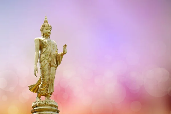 Buddha Statue Hintergrund Verschwommen Blumen Und Himmel Mit Dem Licht — Stockfoto