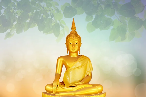 Buddha Statue Hintergrund Verschwommen Blumen Und Himmel Mit Dem Licht — Stockfoto