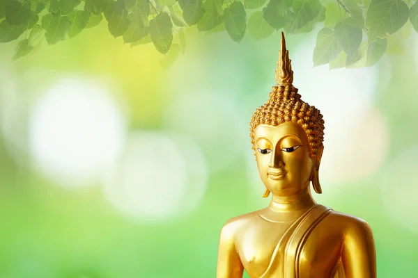 Makha Bucha Day Vesak Day Asanha Bucha Boeddhist Lent Boeddha — Stockfoto
