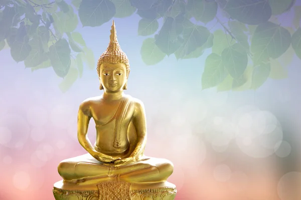 Buddha Statyn Bakgrund Suddiga Blommor Och Himmel Med Ljuset Solen — Stockfoto