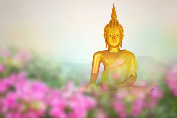 Magha Asha Visakha Bucha Dag Gouden Boeddha Beeld Zacht Beeld — Stockfoto