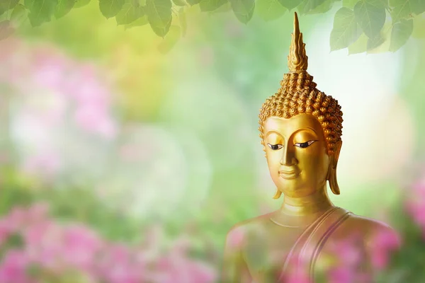 Magha Asha Visakha Bucha Day Golden Buddha Image Soft Image — Stock Photo, Image