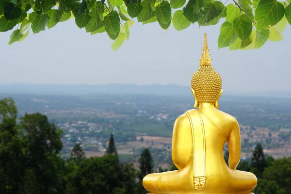 Statua Buddha Sfondo Fiori Sfocati Cielo Con Luce Del Sole — Foto Stock