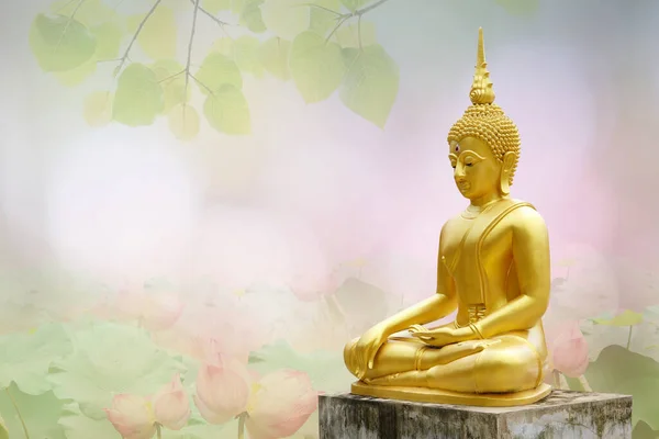 Makha Asanaha Visakha Bucha Day Golden Buddha Image Background Bodhi — Stockfoto