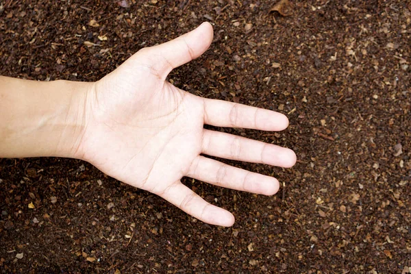 Human hands. A fertile soil background used for growing plants.