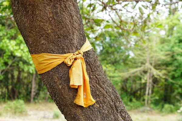 Yellow Cloth Tied Large Tree Represents Conservation Nature — Foto de Stock