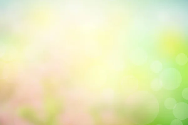 Blur Circle Bokeh Green Leaf Background Blurry Yellow Leaves Rays — Photo