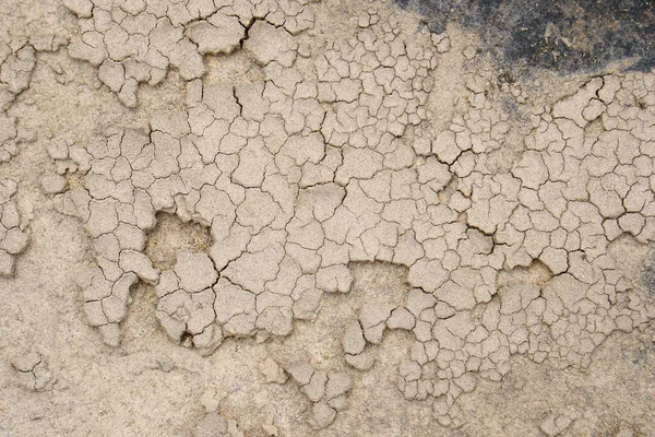 干旱造成的破碎土壤背景 — 图库照片