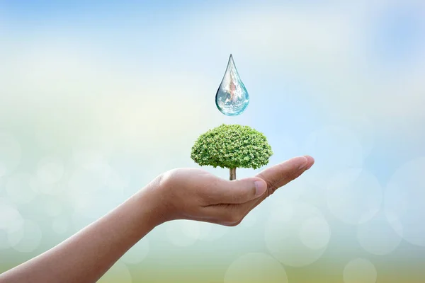 Världsvattendagen Vatten Kranen Bevara Miljön För Hållbarhet — Stockfoto
