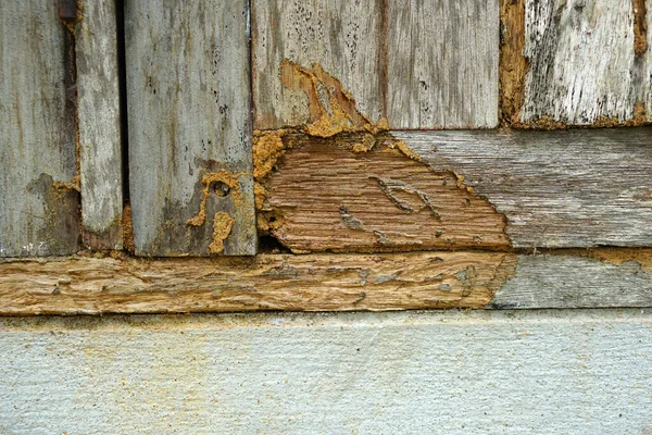 Oude Houten Achtergrond Termieten Eten Tot Verval — Stockfoto