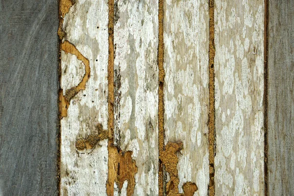 Vieux Fond Bois Termites Manger Jusqu Pourriture — Photo