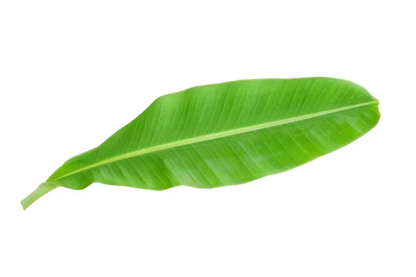 白い背景の上のバナナの葉 — ストック写真