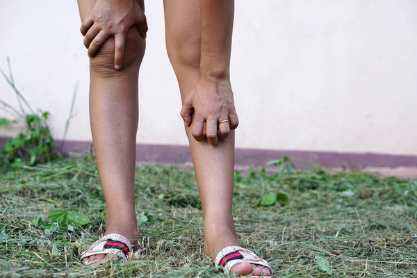 Asijské Ženy Mají Svědivé Nohy — Stock fotografie