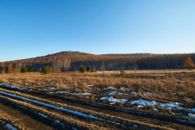Tepe ormanına dönüşen bir tarla.                          