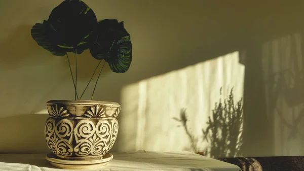 Decoración Del Hogar Con Jarrón Barro Blanco Una Planta Verde —  Fotos de Stock