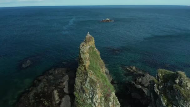 Aerial flight from top to bottom over an amazing small island surrounded by steep cliffs standing in the blue ocean. Untouched nature from above on a sunny summer day, sea waves wash over the rocks. — Stock Video