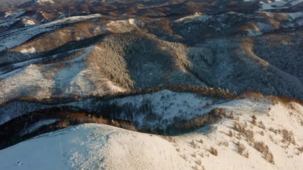A kora reggeli napsütéses légi kilátás egy drón egy havas téli erdő borított havas hideg szőnyeg. — Stock videók