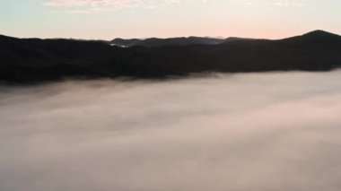 Sabah sisi çam ormanının ve kuşbakışı yeşil çayırların üzerinde uzanır. Sisli bir günde dağ tepelerindeki ladin ormanlarının havadan görünüşü. Güzel bir sonbahar ormanında sabah sisi. Dağlarda yağmurlu bir hava.