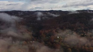 Sabah sisi çam ormanının ve kuş bakışı bir manzaradan yeşil çayırların üzerinde uzanır. Sisli bir günde dağ tepelerindeki ladin ormanlarının havadan görünüşü. Güzel bir sonbahar ormanında sabah sisi. Yağmurlu