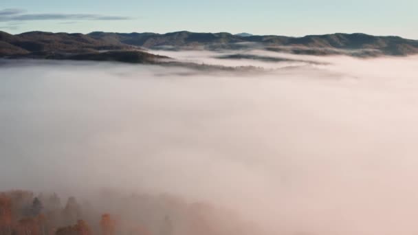 Niebla Mañana Encuentra Sobre Bosque Pinos Prados Verdes Desde Vista — Vídeo de stock