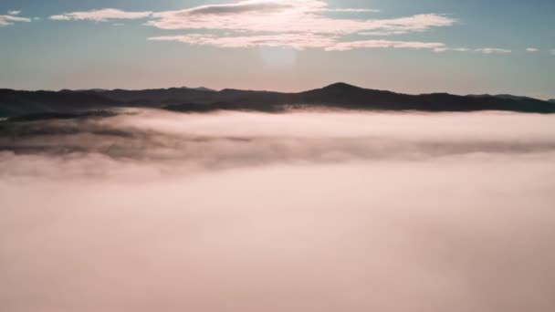 朝の霧は 鳥の目のビューから松の森と緑の牧草地の上にあります 霧の日に山の丘の上にスプルースの森の空中ビュー 美しい秋の森の中で朝の霧 山の中の雨の天気 — ストック動画