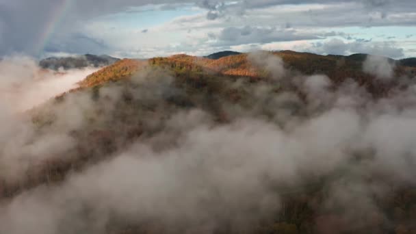 Poranna Mgła Leży Nad Lasem Sosnowym Zielonymi Łąkami Lotu Ptaka — Wideo stockowe