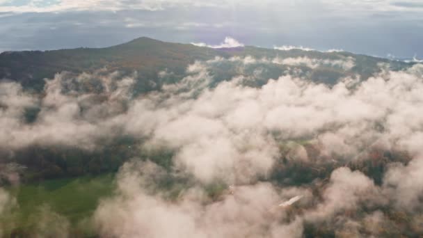 Morgondimman ligger över tallskogen och gröna ängar från fågelperspektiv. Flygfoto över granskogar på bergskullar en dimmig dag. Morgondimma i en vacker höstskog. Regn — Stockvideo