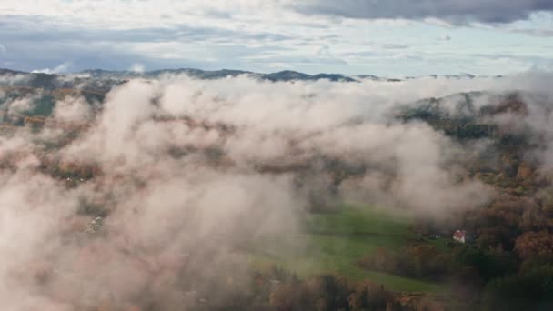 A reggeli köd borítja a fenyőerdőt és a zöld rétek madártávlatból. Légi kilátás lucfenyő erdők hegyi dombok egy ködös napon. Reggeli köd egy gyönyörű őszi erdőben. Esős — Stock videók