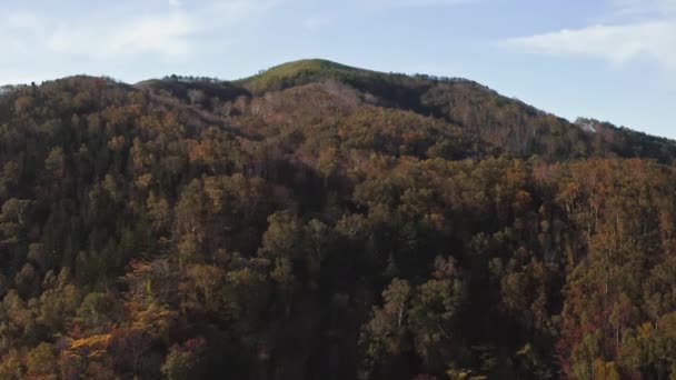 Ranní mlha leží nad borovým lesem a zelené louky z ptačí perspektivy. Letecký pohled na smrkové lesy na horských kopcích za mlhavého dne. Ranní mlha v krásném podzimním lese. Deštivé — Stock video