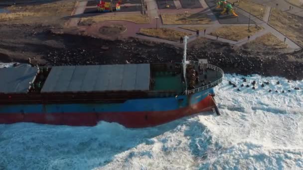 Large Seagoing Vessel Dry Cargo Ship Washed Ashore Strong Storm — Stock Video