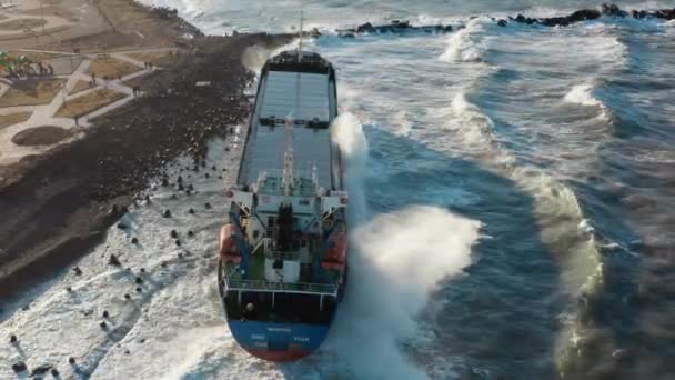 Під час сильного штормового вітру великий вантажний корабель висохнув на берег і сів на мілину. Сухий вантажний корабель викинувся на берег під час морської бурі. Розливається нафта. Морське вантажне судно викинуте на берег. — стокове відео