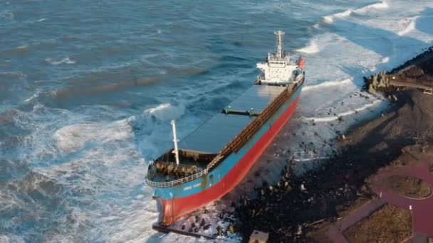 Een groot zeeschip droogvrachtschip spoelde aan tijdens een hevige stormwind en liep aan de grond. Het droge vrachtschip spoelde aan tijdens een zeestorm. Olielekken. Een zeegaande vrachtschip spoelde aan — Stockvideo