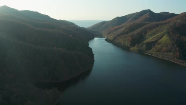 푸른 호수와 푸른 숲을 공중에서 볼 수있다. 산 숲 사이에 있는 호수의 모습. 산 호수의 수정 같이 맑은 물 위에. 소나무가 있는 산속의 호수에 있는 청록색 물 — 비디오