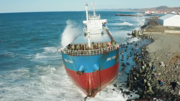 A large seagoing vessel dry cargo ship washed ashore during a strong storm wind and ran aground. The dry cargo ship washed ashore during a sea storm. Oil spills. A sea-going cargo ship washed ashore — Stock Video