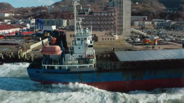 Large Seagoing Vessel Dry Cargo Ship Washed Ashore Strong Storm — Stock Video