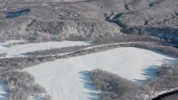 Río Helado Fluye Entre Los Árboles Cubiertos Nieve Blanca Soleado — Vídeo de stock