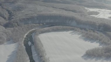 Beyaz karla kaplı ağaçların arasından donmuş bir nehir akıyor. Soğuk, güneşli bir Aralık gününde ladin ağaçları büyür. Kış örtüsüyle kaplanırlar. Nehir akar..
