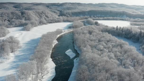 Un río helado fluye entre los árboles cubiertos de nieve blanca. En un soleado día de diciembre, los abetos crecen cubiertos con un velo de invierno, un río fluye, una vista de pájaro desde arriba. — Vídeo de stock