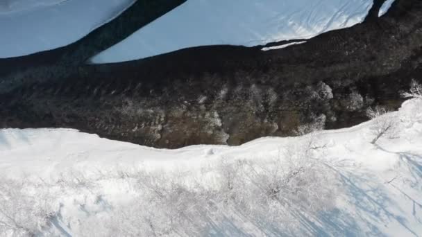 Um rio congelado flui entre as árvores cobertas de neve branca. Em um dia gelado de dezembro ensolarado, as árvores de abeto crescem, cobertas com um véu de inverno, um rio flui, uma visão de olhos de pássaros de cima. — Vídeo de Stock