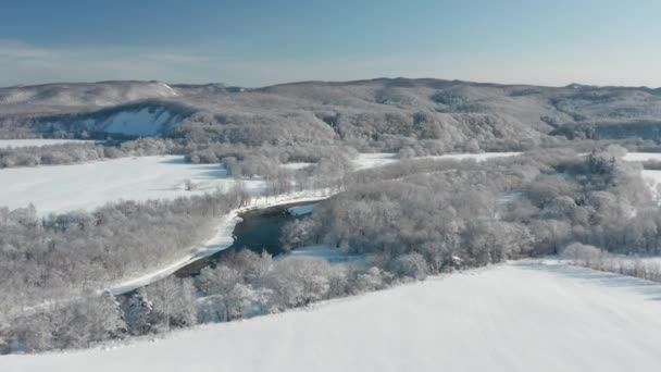 Fagyott folyó folyik a fehér hó borította fák között. Egy fagyos, napos decemberi napon lucfenyők nőnek, téli fátyollal borítva, folyó folyik, madártávlatból fentről.. — Stock videók