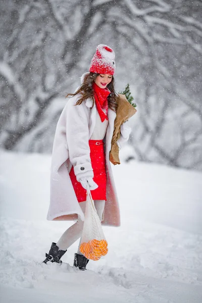 A young beautiful girl walks on a winter day in the garden in her hands holding tangerines and a bouquet of fir trees smiling, having fun outdoors in the park in winter. — Stock Photo, Image