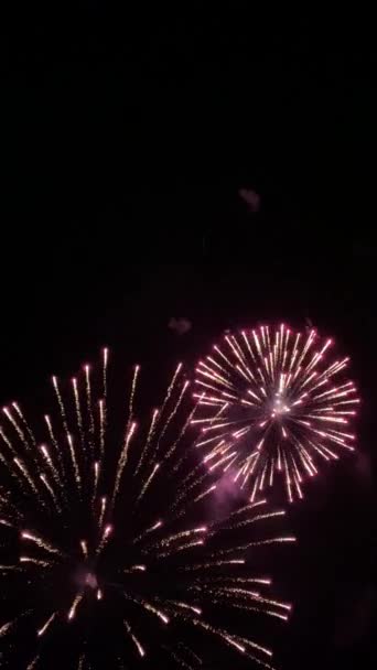 Nachthimmel Sprühen Explosionen Farbenfroher Feuerwerkskörper Funken Blitze Hellen Lichts Hinterlassen — Stockvideo