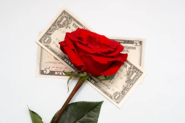 Een Rode Roos Ligt Dollarbiljetten Een Witte Achtergrond Van Tafel — Stockfoto